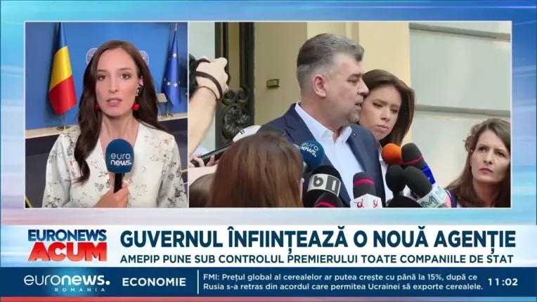 Guvernul infiinteaza o noua agentie. AMEPIP pune sub controlul premierului toate companiile de stat